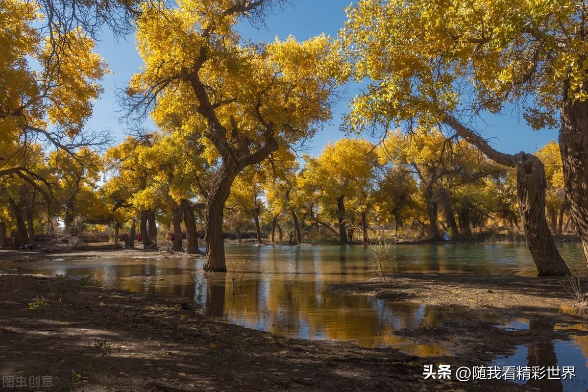 内蒙古必去的五大景点,你都去过几个?-内蒙古必去的旅游景点