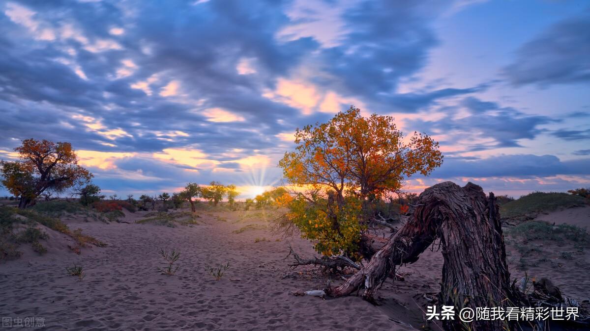 内蒙古必去的五大景点,你都去过几个?-内蒙古必去的旅游景点