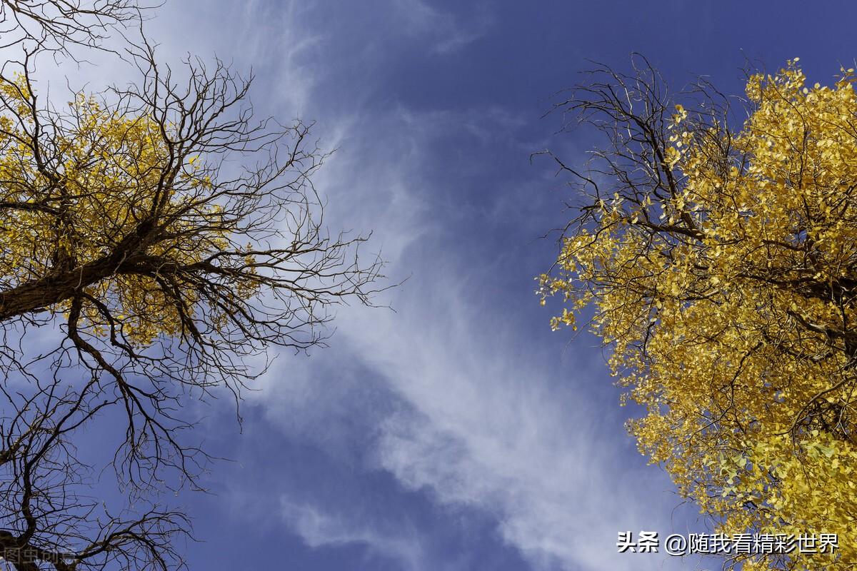 内蒙古必去的五大景点,你都去过几个?-内蒙古必去的旅游景点