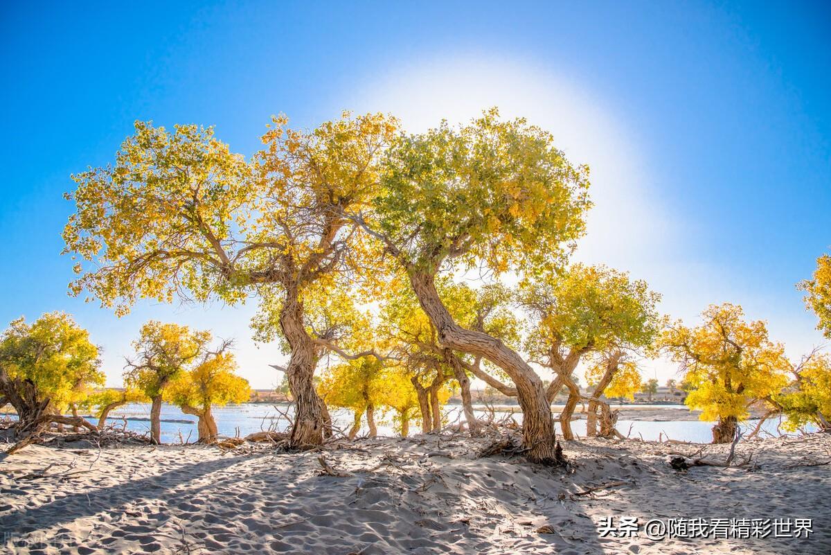 内蒙古必去的五大景点,你都去过几个?-内蒙古必去的旅游景点