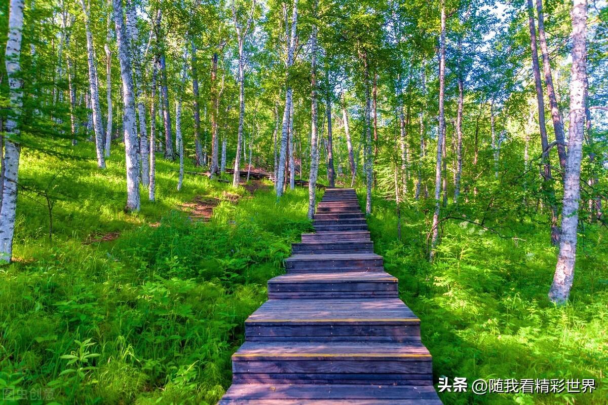 内蒙古必去的五大景点,你都去过几个?-内蒙古必去的旅游景点