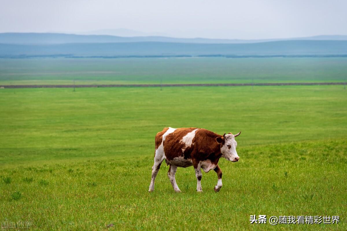 内蒙古必去的五大景点,你都去过几个?-内蒙古必去的旅游景点