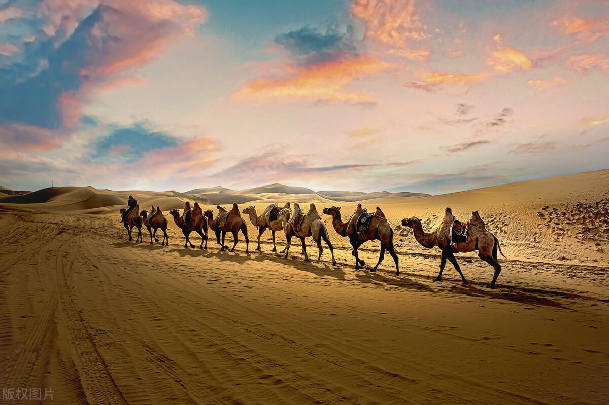 内蒙古旅游攻略——著名景点篇-内蒙古旅游景点大全介绍