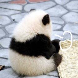 “五一”后机酒价格集体跳水!上海飞三亚只要209元,有些线路十倍起降……-上海三亚飞机票