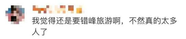 “五一”后机酒价格集体跳水!上海飞三亚只要209元,有些线路十倍起降……-上海三亚飞机票