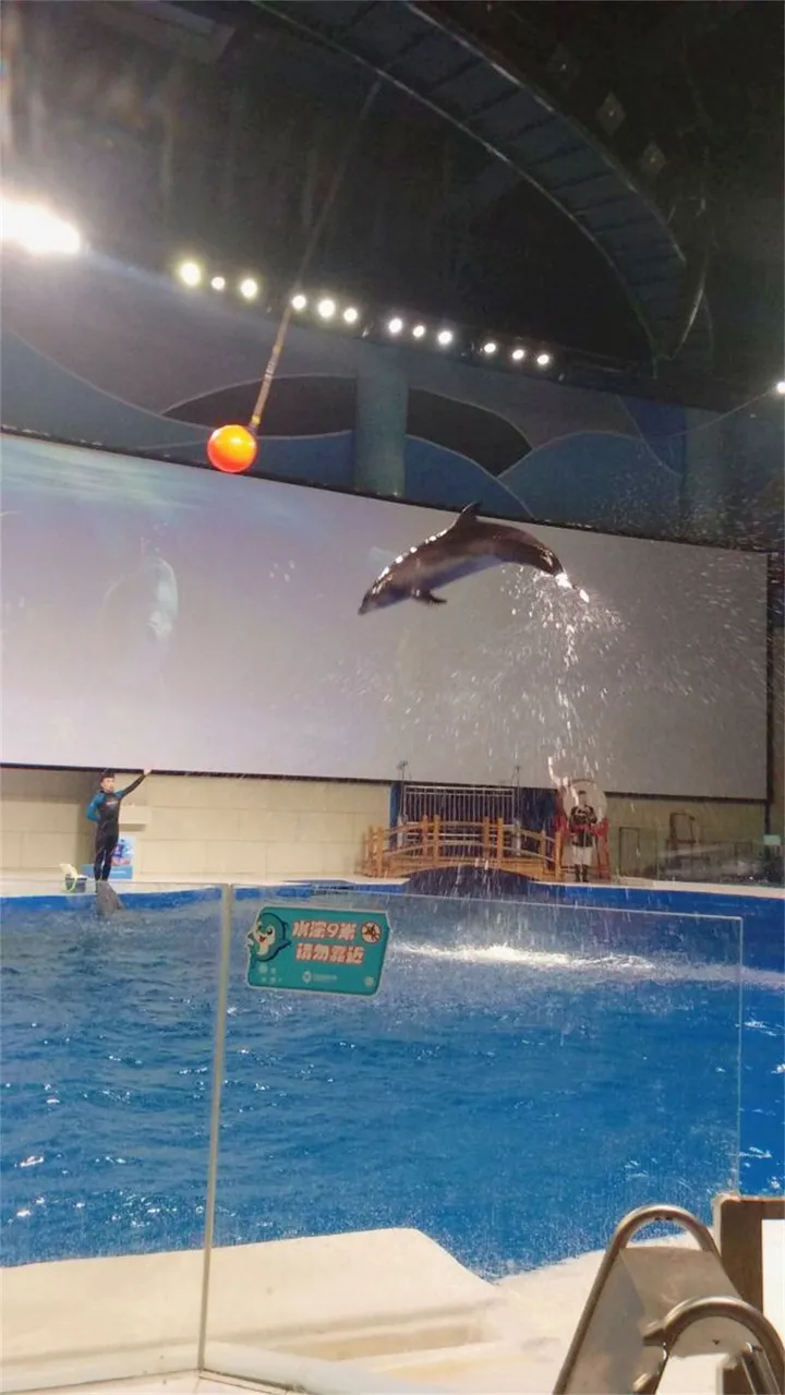 日照旅游攻略,来日照必打卡的景点-日照旅游必去景点介绍