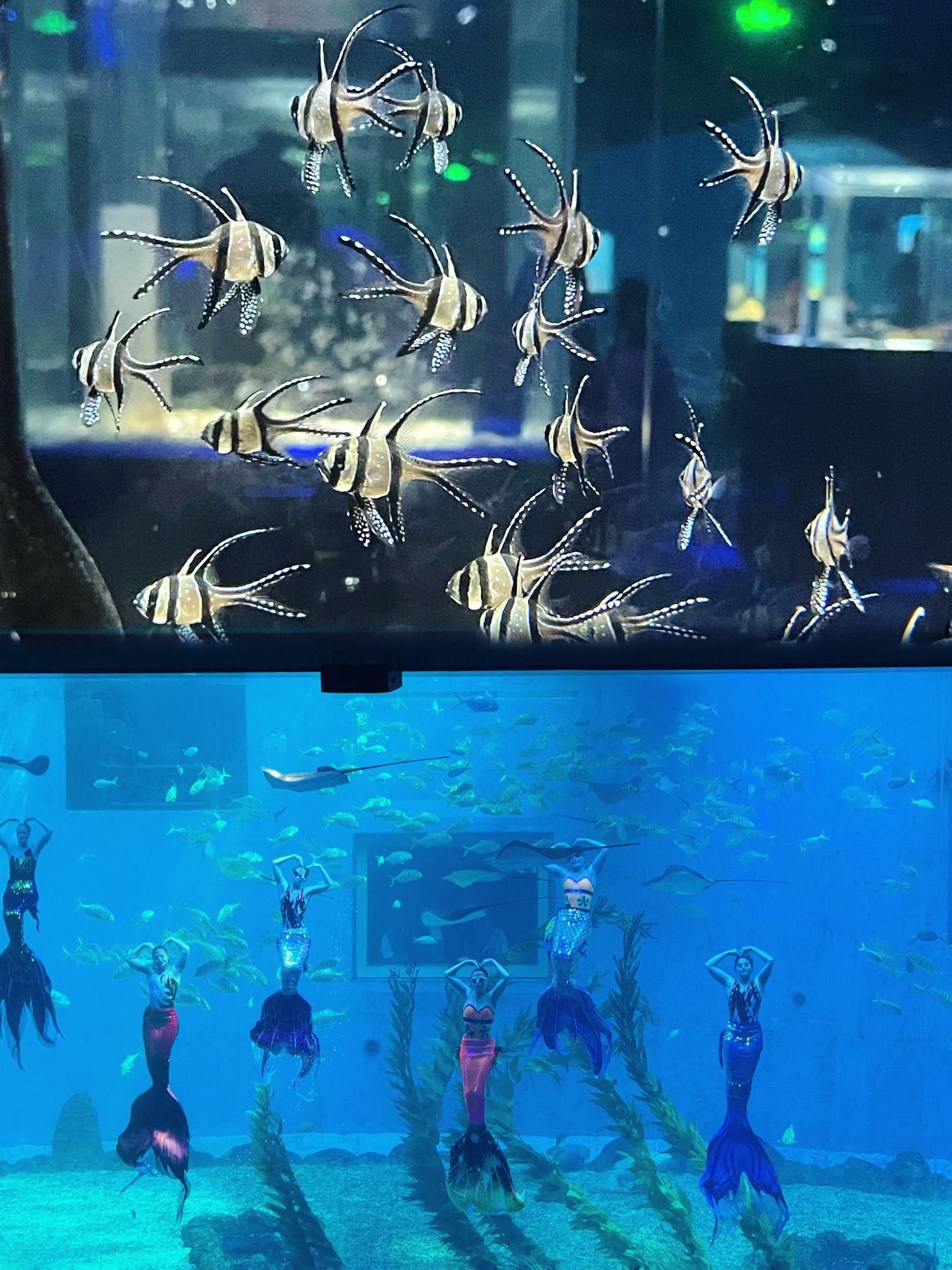 日照攻略‖一篇把日照超火景点说清楚-日照旅游必去