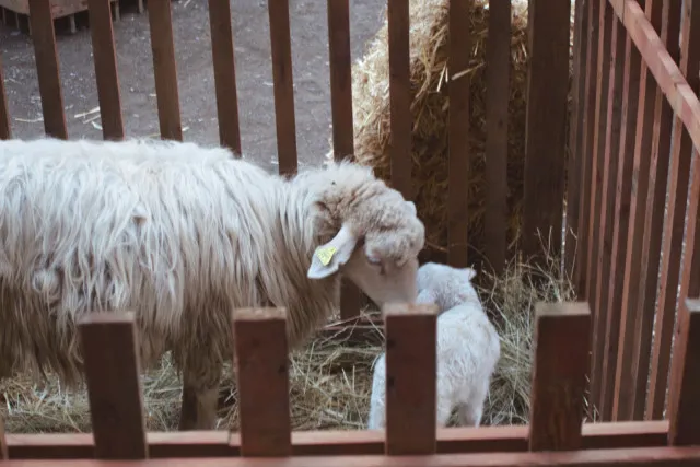 天空之城--悬崖上的意大利古堡-天空之城 罗马