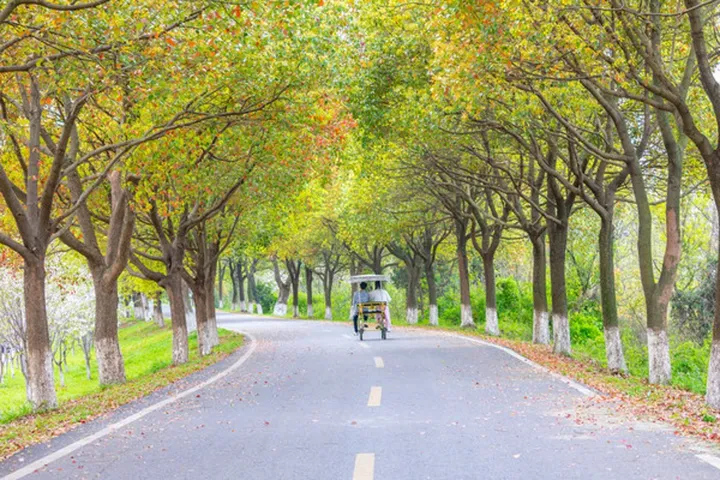 有哪些适合周末露营的地方?-岫岩露营推荐