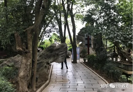 黄果树大瀑布细品-黄果树的瀑布短文答案