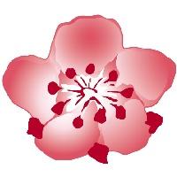 航班动态丨中华航空、长荣航空10月、11月航班营运信息-长荣航空百科