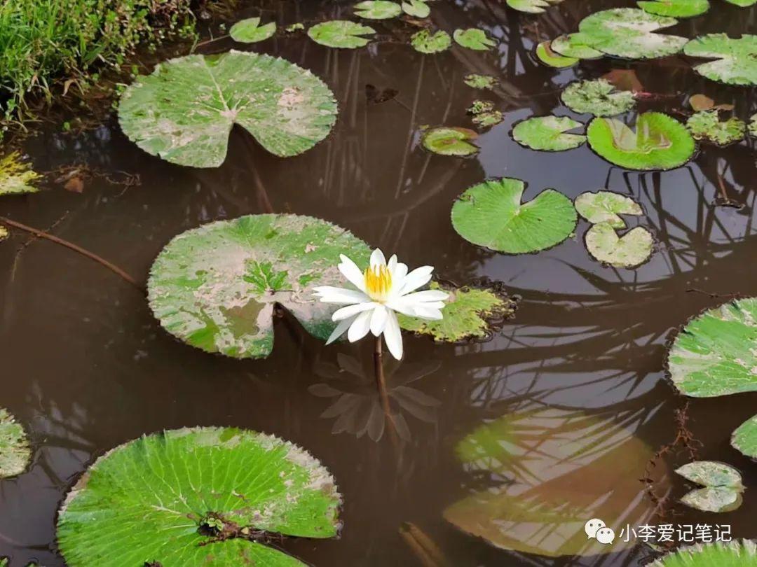云南自由行最详细攻略!