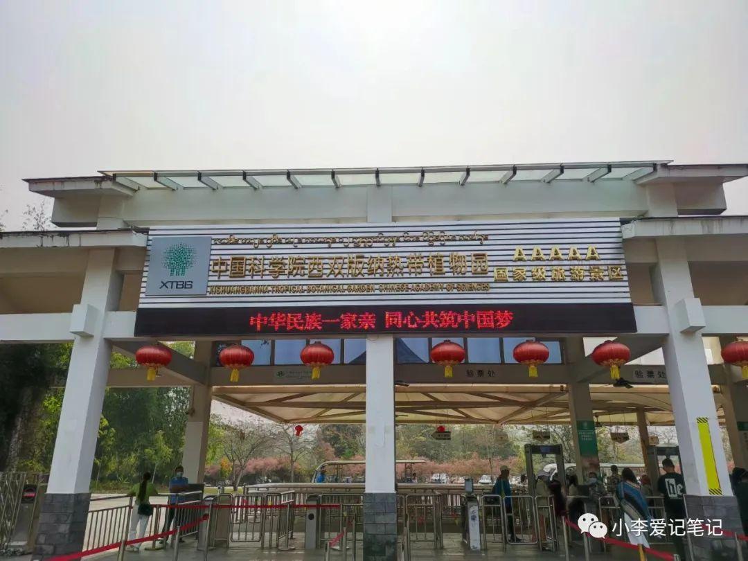 云南自由行最详细攻略!