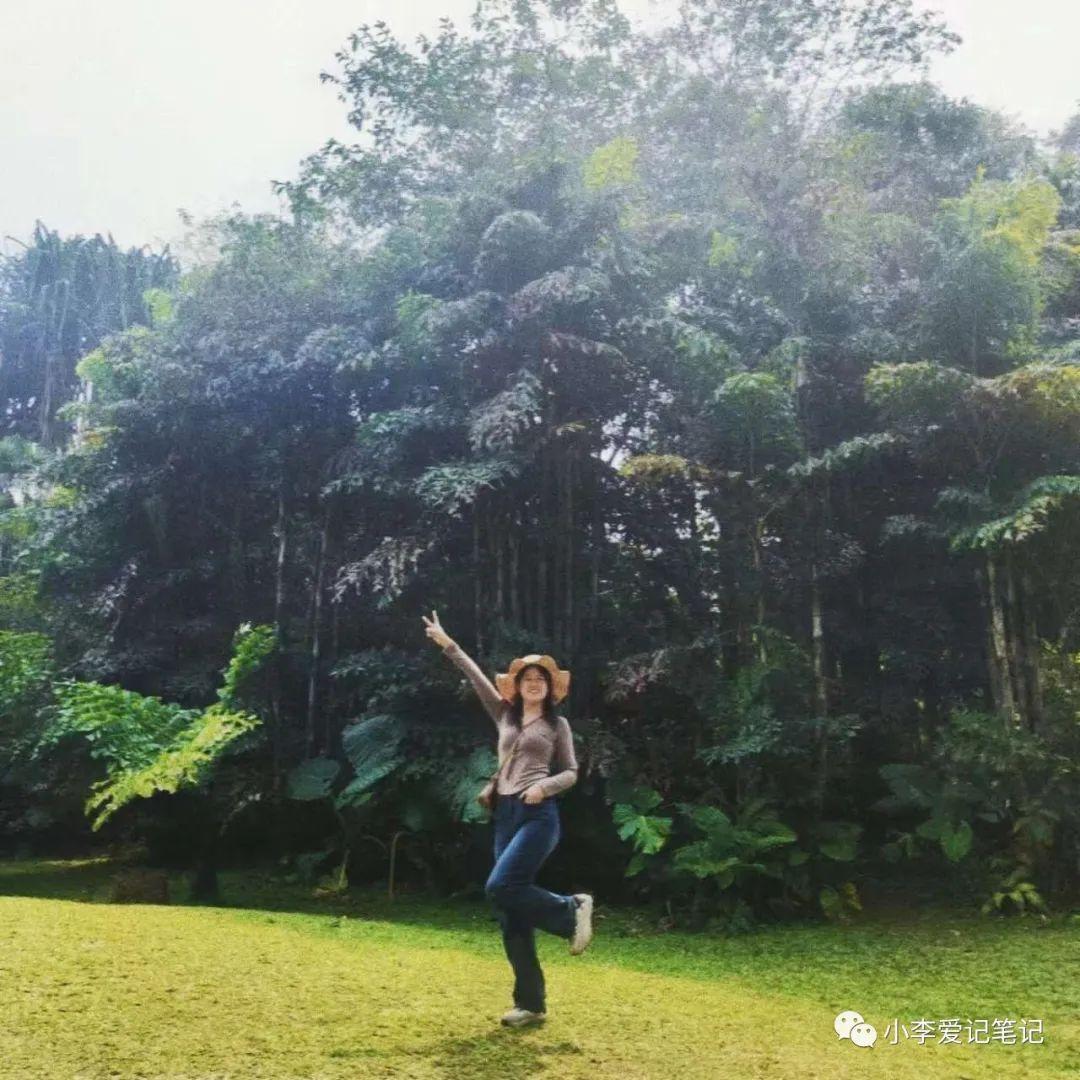 云南自由行最详细攻略!