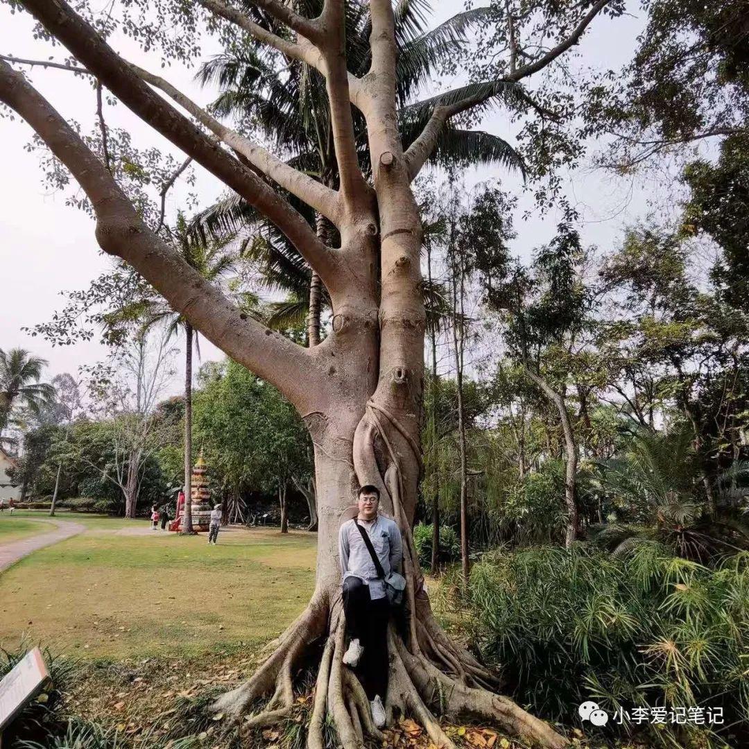 云南自由行最详细攻略!