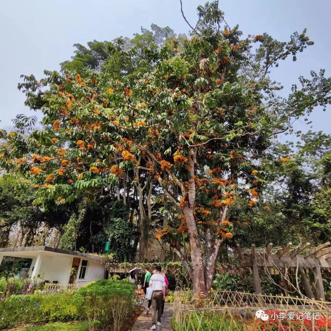 云南自由行最详细攻略!