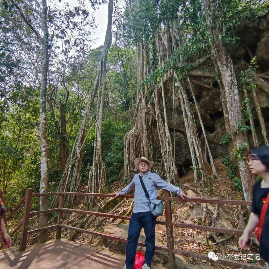 云南自由行最详细攻略!