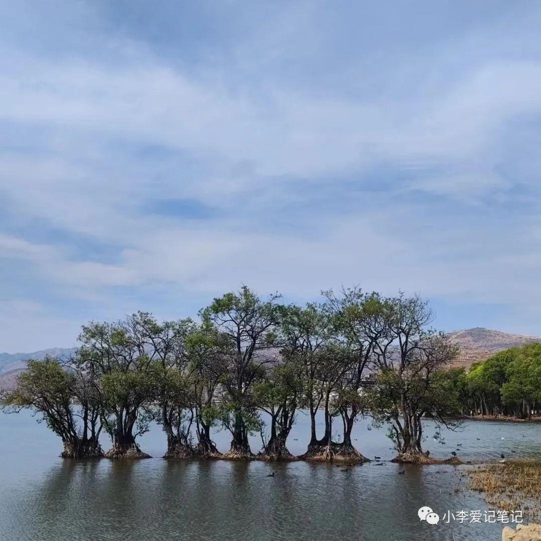 云南自由行最详细攻略!