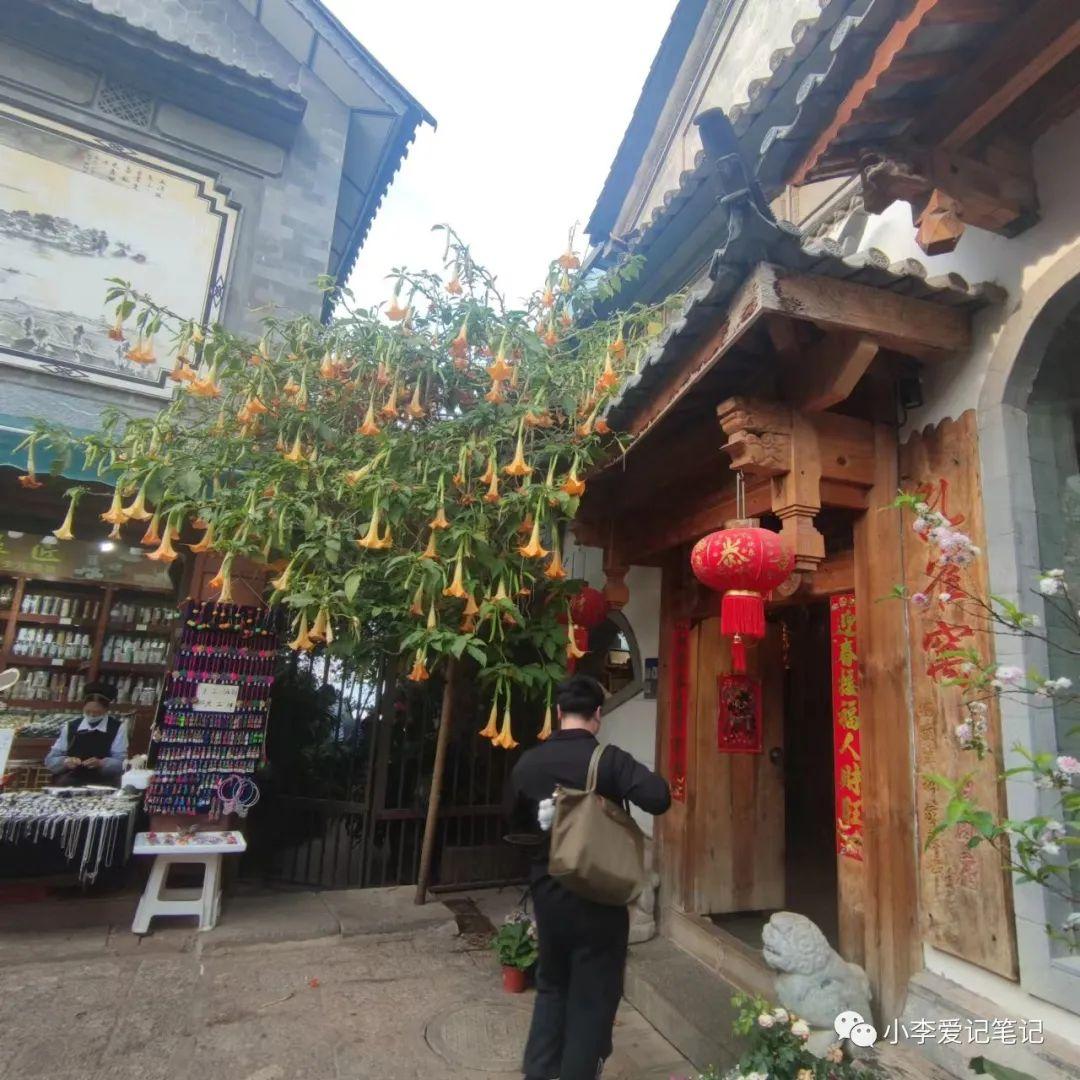 云南自由行最详细攻略!