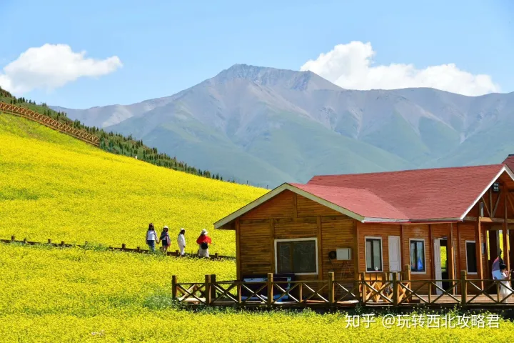来青海有哪些不可错过的景点?(超全青海旅游攻略)-青海最值得去的景点有哪些