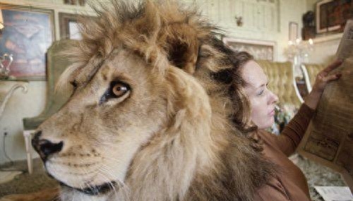 稀有的!盘点土豪十大宠物,最后两只太吓人了!你有看到它吗?-土豪宠物排名