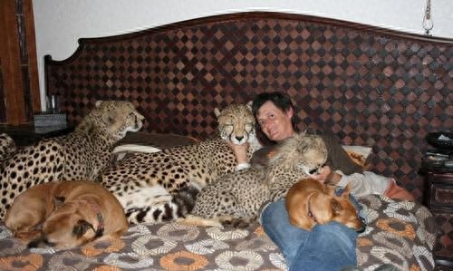 稀有的!盘点土豪十大宠物,最后两只太吓人了!你有看到它吗?-土豪宠物排名