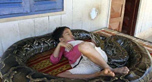 稀有的!盘点土豪十大宠物,最后两只太吓人了!你有看到它吗?-土豪宠物排名