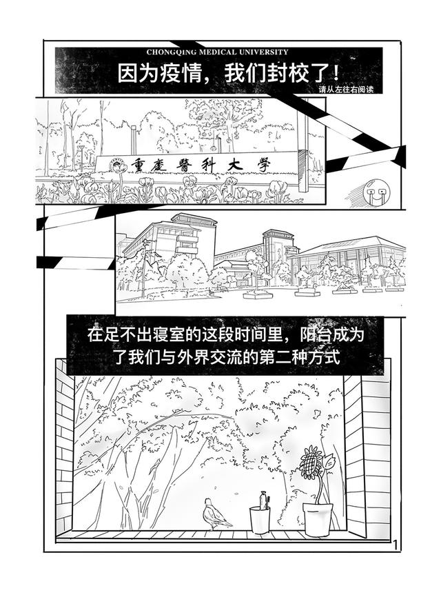 漫画丨待到春暖花开,共赏樱花烂漫「全国大学生网络文化节获奖作品展映」-待到春暖花开时作文600字初二