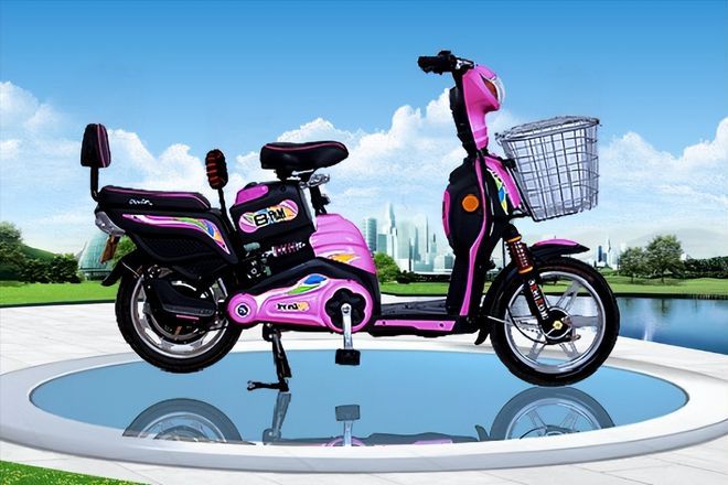 新日创始人张崇舜,卖电动车赚60亿,打造年销2000万台知名品牌!-新日电动车董事长张崇舜