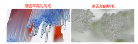 电动牙刷哪个牌子好?品牌前十名盘点,口碑超高!-电动牙刷哪家好?