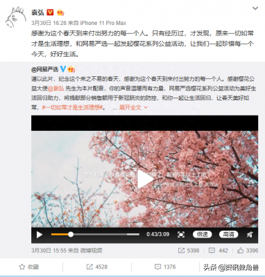 网易严选411周年庆发布公益计划 都与樱花有关-网易严选促销活动主题