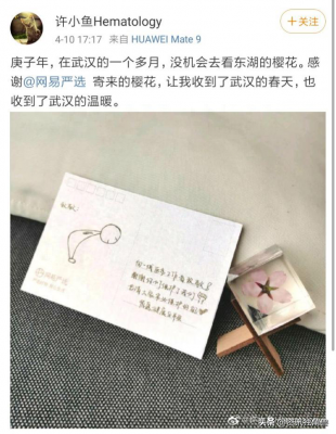 网易严选411周年庆发布公益计划 都与樱花有关-网易严选促销活动主题