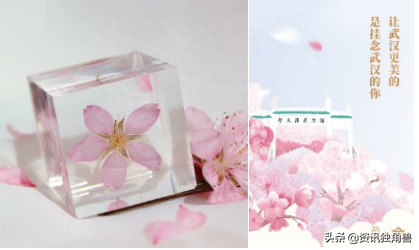 网易严选411周年庆发布公益计划 都与樱花有关-网易严选促销活动主题