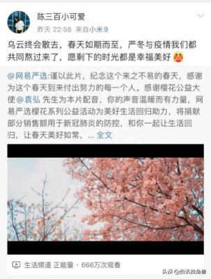 网易严选411周年庆发布公益计划 都与樱花有关-网易严选促销活动主题