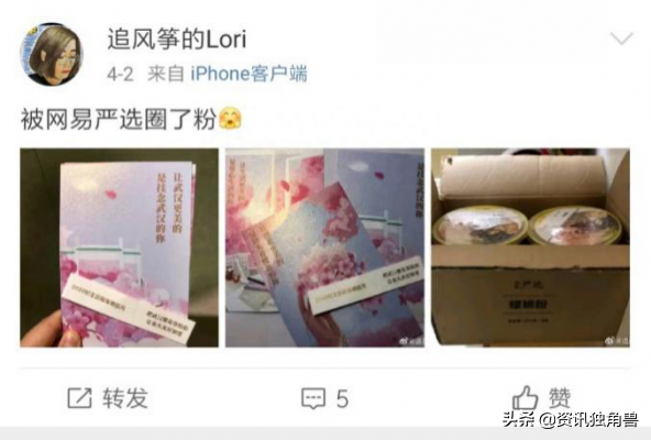 网易严选411周年庆发布公益计划 都与樱花有关-网易严选促销活动主题