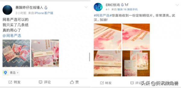 网易严选411周年庆发布公益计划 都与樱花有关-网易严选促销活动主题