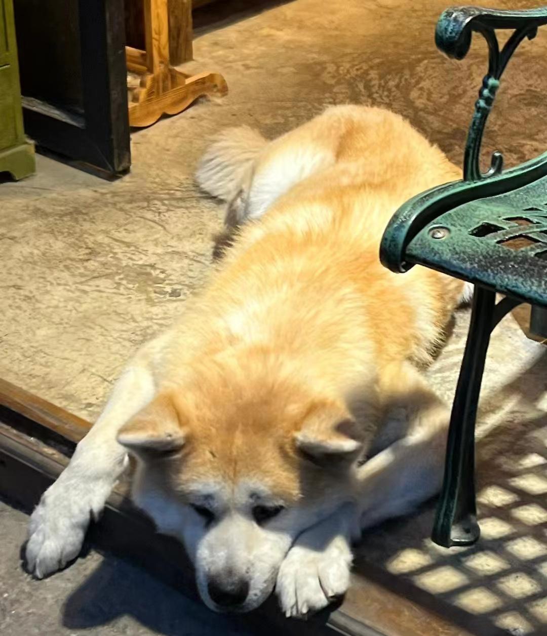 第一次去云南旅游不要慌,来看俩个女生云南自由行旅游攻略-第一次去云南推荐路线