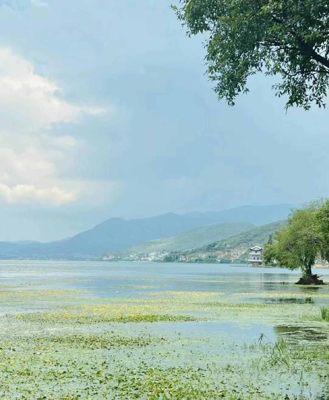 第一次去云南旅游不要慌,来看俩个女生云南自由行旅游攻略-第一次去云南推荐路线