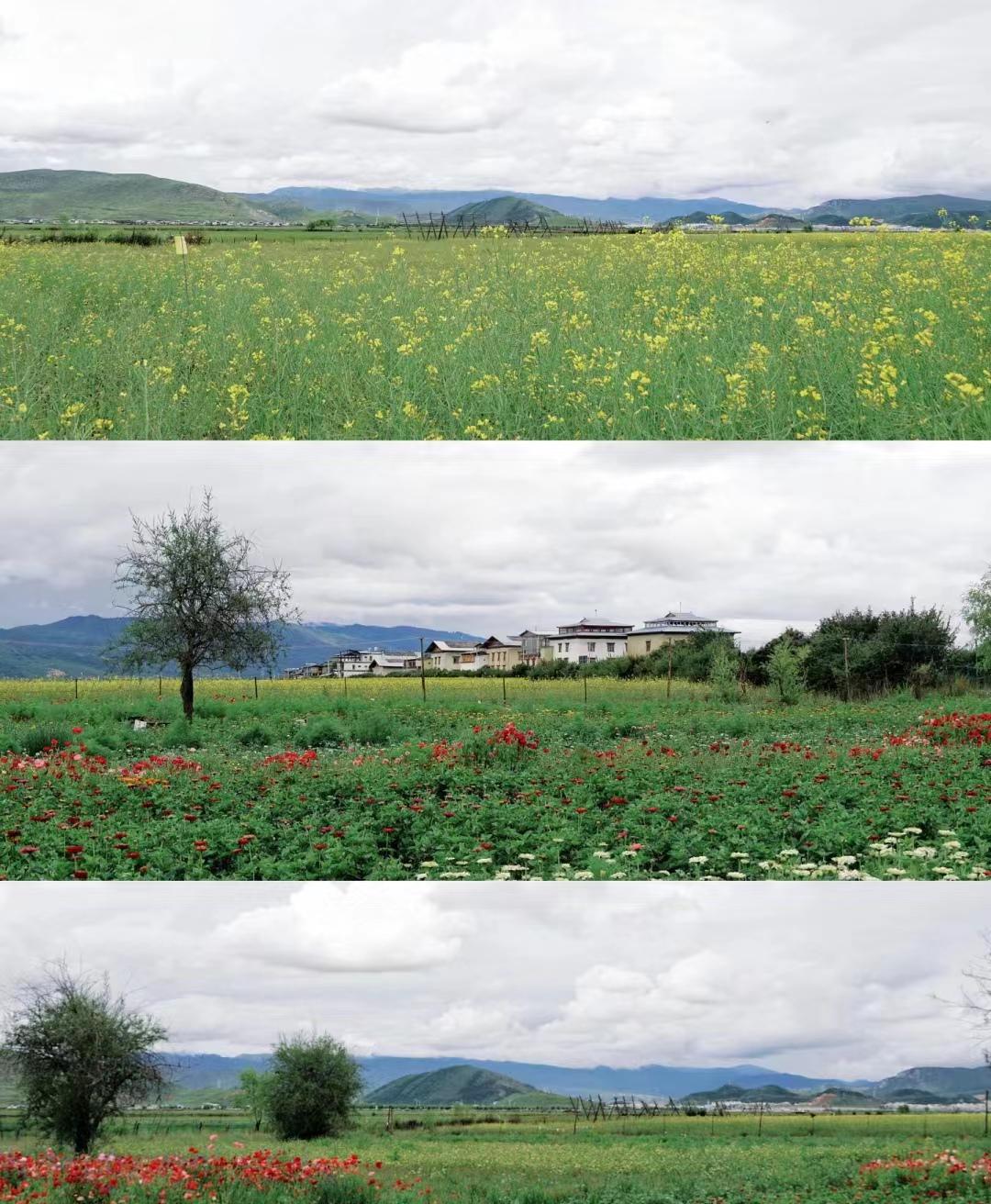 第一次去云南旅游不要慌,来看俩个女生云南自由行旅游攻略-第一次去云南推荐路线