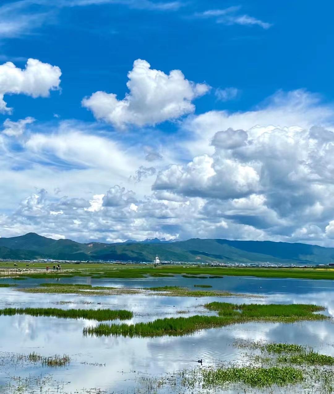 第一次去云南旅游不要慌,来看俩个女生云南自由行旅游攻略-第一次去云南推荐路线