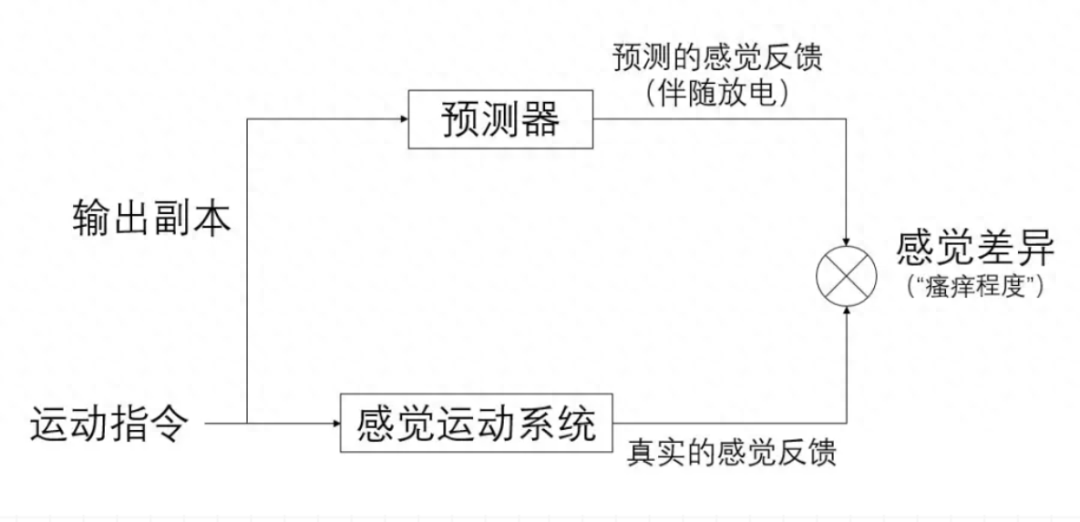 你是不怕痒技能满点选手吗?-不怕痒代表什么