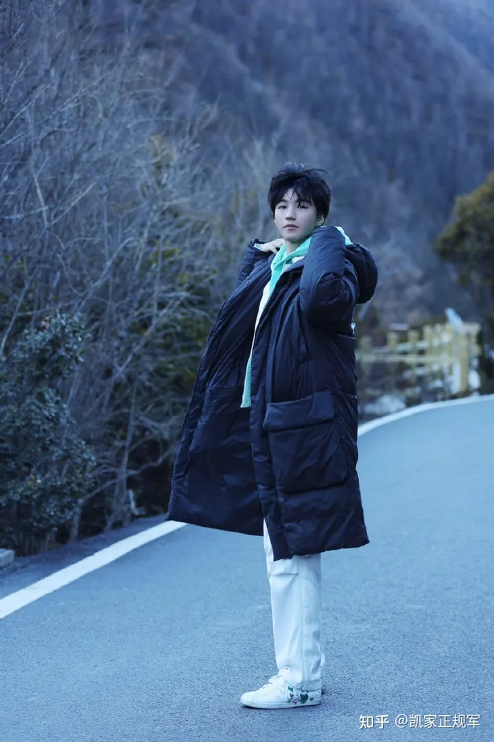 王俊凯:翩翩少年,破茧成蝶-王俊凯改变自己 百度网盘