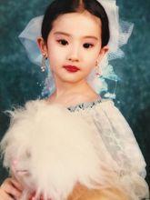 刘亦菲, 华语影视女演员-影星刘亦菲