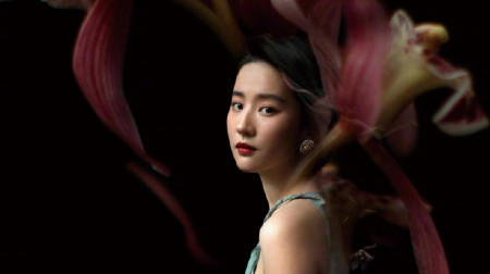 在演艺圈,刘亦菲以自己的天分与努力,迎接每一个挑战-刘亦菲们是什么网络用语