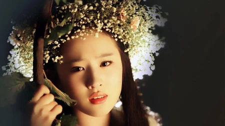 刘亦菲,在她的演艺生涯中,走过了一段坎坷的路程-刘亦菲的经历