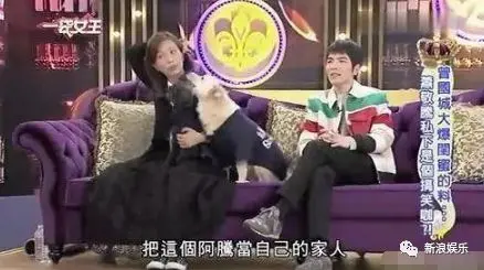 传了十几年,终于承认了!-传了过来的英文