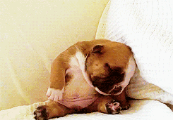 每当这时候,你可能会觉得“自己还是个宝宝吧”……01:01-每当的时候就成了造句