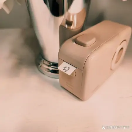 千挑万选的喵喵机T2标签机,让你生活得井井有条-喵喵机官方标签纸30怎么用?