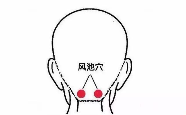 伏天“余额”将尽!这些养生禁忌一定要提前看一看!做错了伤害大-伏天的养生模式