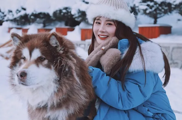 去哈尔滨旅游-哈尔滨旅游2021年攻略,个人亲测(景点+线路+费用+美食)-哈尔滨旅游最佳路线图